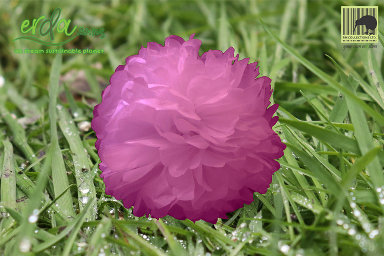 Pom Poms - Rose Purple